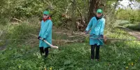 Акция "Чистый двор-чистая деревня"