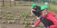 Летняя практика