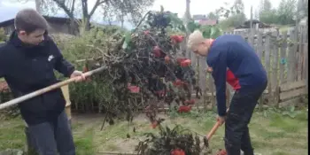 День добрых дел