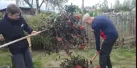 День добрых дел