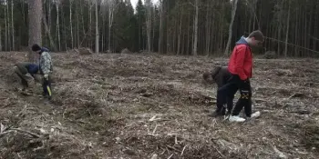 АКЦИЯ ПО ПОСАДКЕ ЛЕСА