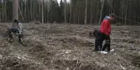 АКЦИЯ ПО ПОСАДКЕ ЛЕСА