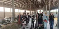 Летняя практика на молочной ферме